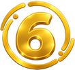 6